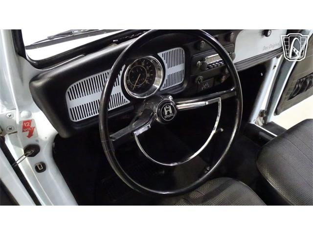 1969 Volkswagen Beetle (CC-2118407) for sale in O'Fallon, Illinois