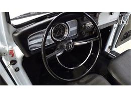 1969 Volkswagen Beetle (CC-2118407) for sale in O'Fallon, Illinois