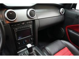 2008 Ford Mustang (CC-2118422) for sale in Homer City, Pennsylvania