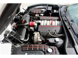 1998 Chevrolet Corvette (CC-2118430) for sale in Sarasota, Florida
