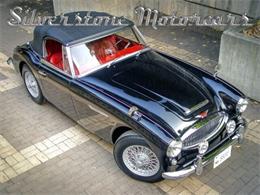 1964 Austin-Healey 3000 (CC-2118433) for sale in North Andover, Massachusetts