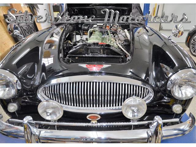 1964 Austin-Healey 3000 (CC-2118433) for sale in North Andover, Massachusetts