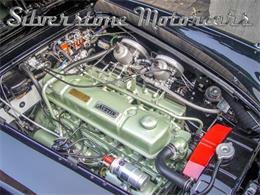 1964 Austin-Healey 3000 (CC-2118433) for sale in North Andover, Massachusetts