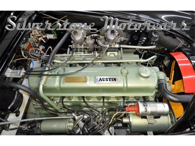 1964 Austin-Healey 3000 (CC-2118433) for sale in North Andover, Massachusetts