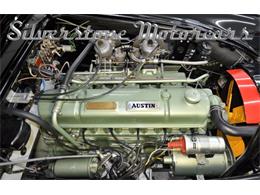 1964 Austin-Healey 3000 (CC-2118433) for sale in North Andover, Massachusetts