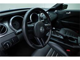 2007 Ford Shelby GT500  (CC-2118452) for sale in Cedar Rapids, Iowa