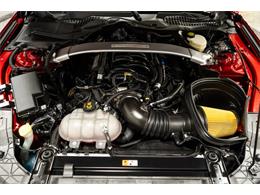 2017 Ford Mustang (CC-2118453) for sale in Bristol, Pennsylvania