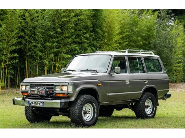 1989 Toyota Land Cruiser (CC-2118508) for sale in Aiken, South Carolina