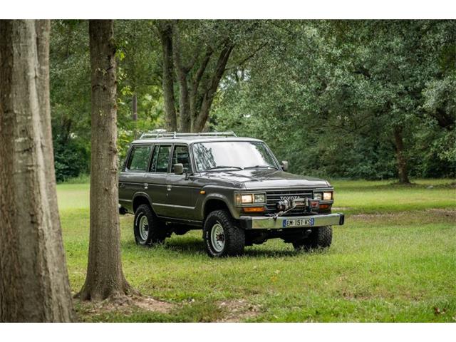 1989 Toyota Land Cruiser (CC-2118508) for sale in Aiken, South Carolina