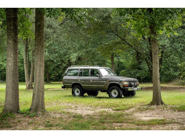 1989 Toyota Land Cruiser (CC-2118508) for sale in Aiken, South Carolina