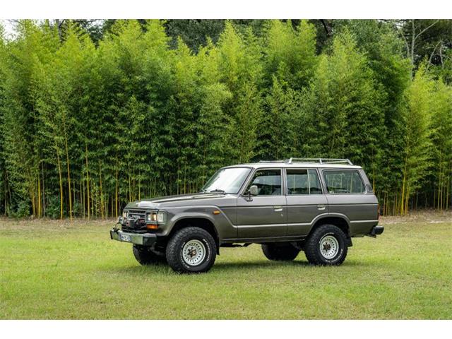 1989 Toyota Land Cruiser (CC-2118508) for sale in Aiken, South Carolina