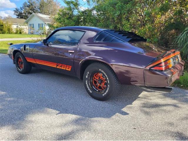 1980 Chevrolet Camaro (CC-2110851) for sale in Cadillac, Michigan