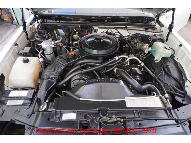 1988 Chevrolet Monte Carlo (CC-2118511) for sale in Fort Myers, Florida