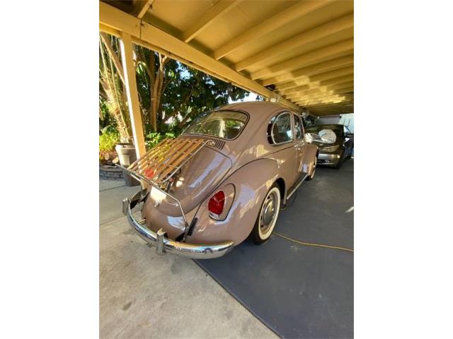 1968 Volkswagen Beetle (CC-2110853) for sale in Cadillac, Michigan