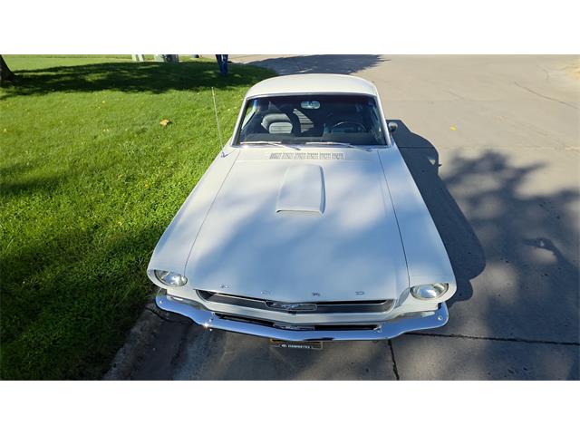 1966 Ford Mustang Fastback (CC-2118590) for sale in Waconia, Minnesota