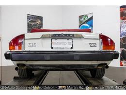 1989 Jaguar XJS (CC-2118623) for sale in Kentwood, Michigan