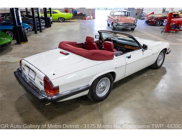 1989 Jaguar XJS (CC-2118623) for sale in Kentwood, Michigan
