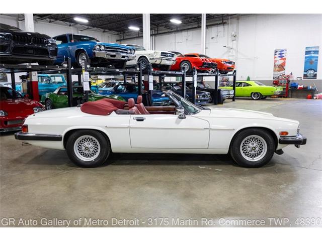 1989 Jaguar XJS (CC-2118623) for sale in Kentwood, Michigan