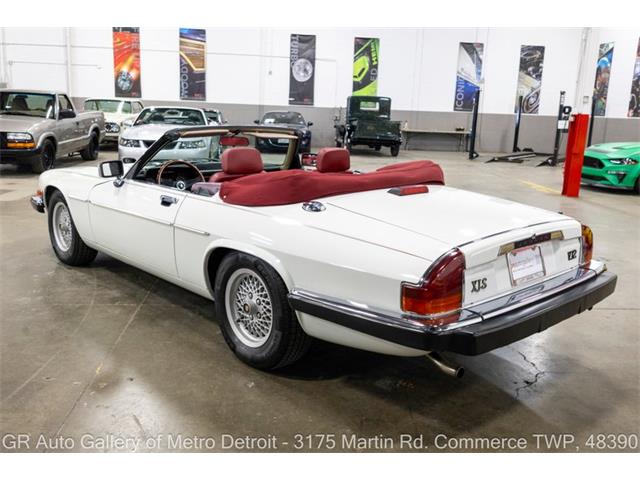 1989 Jaguar XJS (CC-2118623) for sale in Kentwood, Michigan