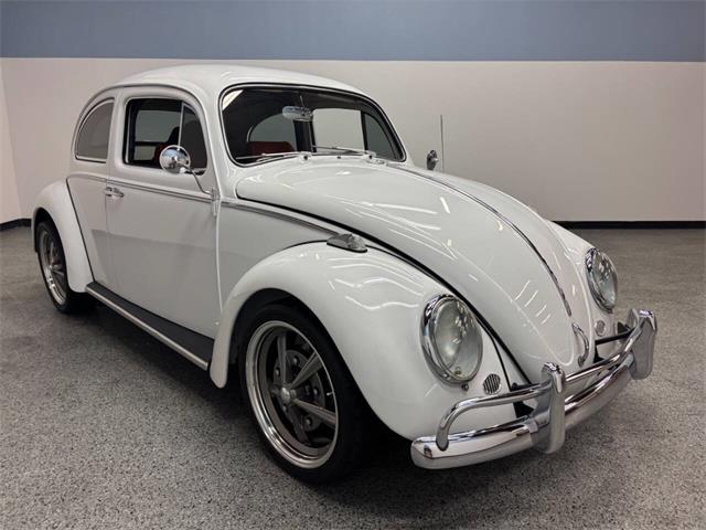 1963 Volkswagen Beetle (CC-2118683) for sale in Bradenton, Florida