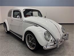 1963 Volkswagen Beetle (CC-2118683) for sale in Bradenton, Florida