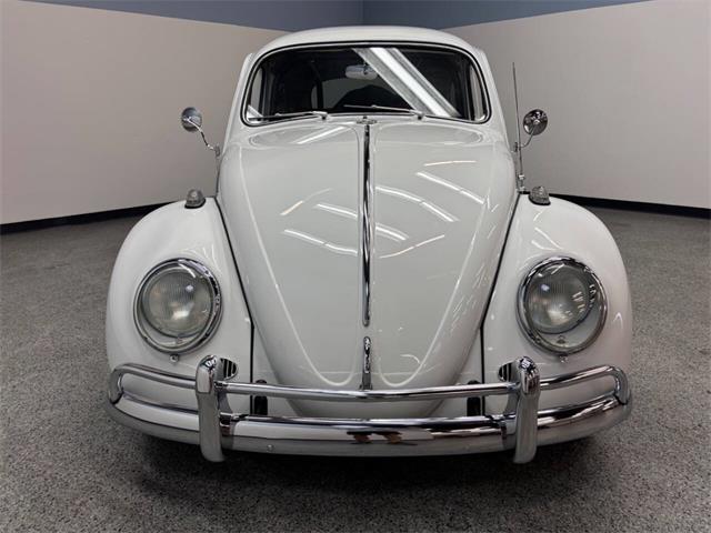 1963 Volkswagen Beetle (CC-2118683) for sale in Bradenton, Florida