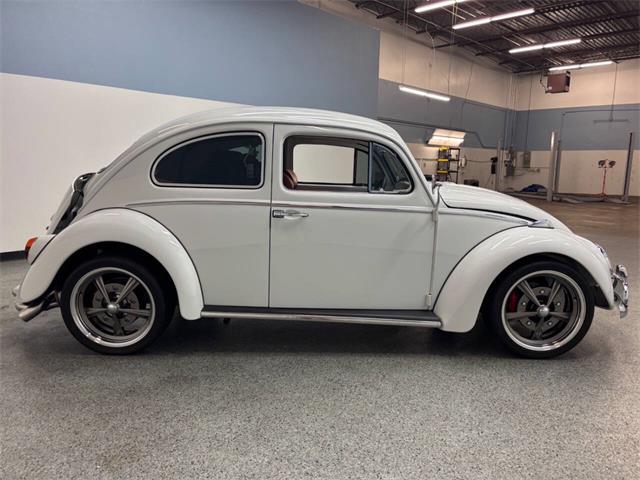 1963 Volkswagen Beetle (CC-2118683) for sale in Bradenton, Florida