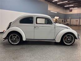 1963 Volkswagen Beetle (CC-2118683) for sale in Bradenton, Florida