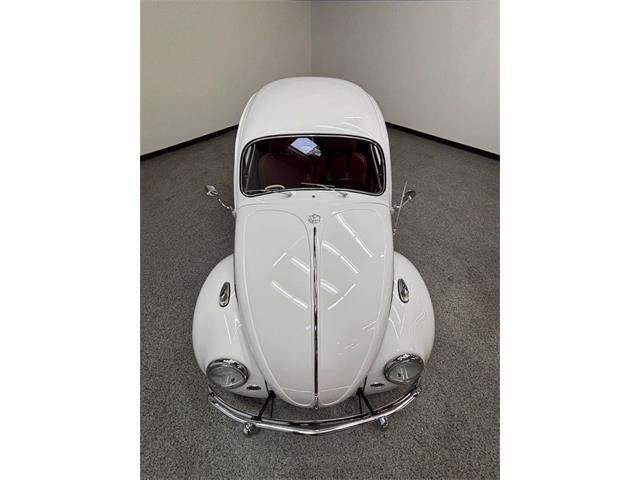 1963 Volkswagen Beetle (CC-2118683) for sale in Bradenton, Florida