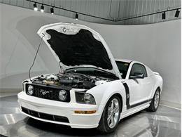 2009 Ford Mustang (CC-2118696) for sale in Depew, New York