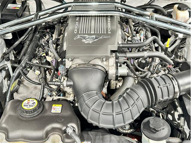 2009 Ford Mustang (CC-2118696) for sale in Depew, New York