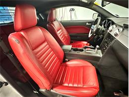 2009 Ford Mustang (CC-2118696) for sale in Depew, New York