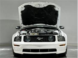 2009 Ford Mustang (CC-2118696) for sale in Depew, New York