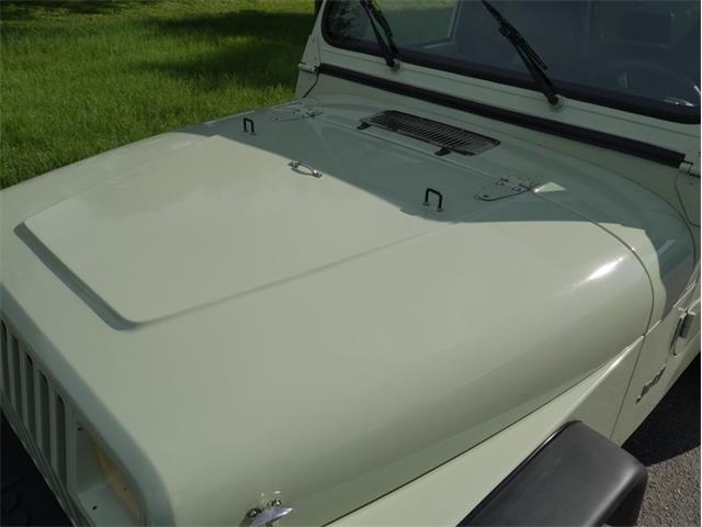 1995 Jeep Wrangler (CC-2118700) for sale in Palmetto, Florida