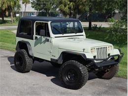 1995 Jeep Wrangler (CC-2118700) for sale in Palmetto, Florida