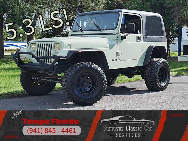 1995 Jeep Wrangler (CC-2118700) for sale in Palmetto, Florida