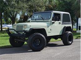 1995 Jeep Wrangler (CC-2118700) for sale in Palmetto, Florida