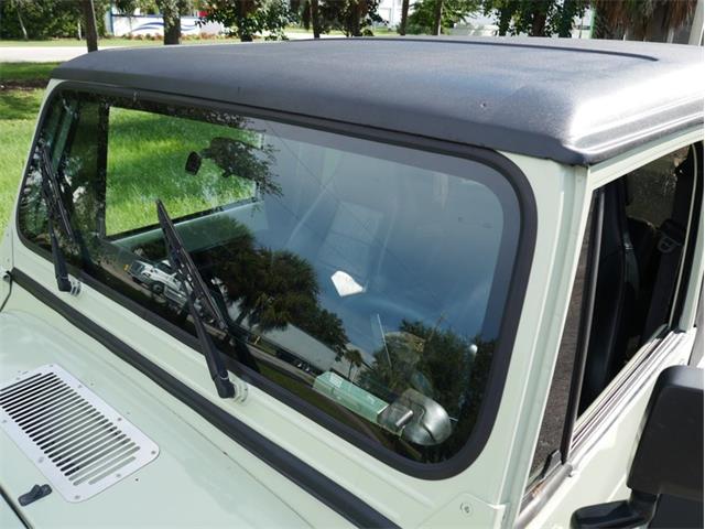 1995 Jeep Wrangler (CC-2118700) for sale in Palmetto, Florida