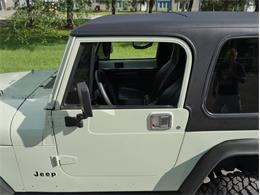 1995 Jeep Wrangler (CC-2118700) for sale in Palmetto, Florida