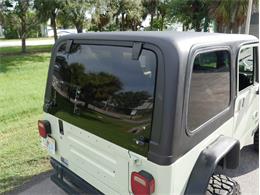 1995 Jeep Wrangler (CC-2118700) for sale in Palmetto, Florida