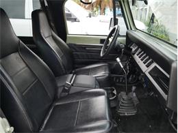 1995 Jeep Wrangler (CC-2118700) for sale in Palmetto, Florida