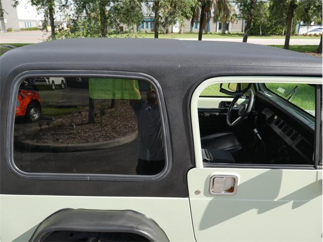 1995 Jeep Wrangler (CC-2118700) for sale in Palmetto, Florida
