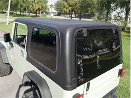 1995 Jeep Wrangler (CC-2118700) for sale in Palmetto, Florida