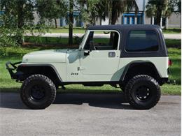 1995 Jeep Wrangler (CC-2118700) for sale in Palmetto, Florida