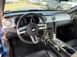 2008 Ford Mustang Shelby GT (CC-2118746) for sale in Punta Gorda, Florida