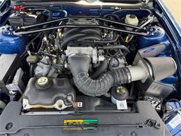 2008 Ford Mustang Shelby GT (CC-2118746) for sale in Punta Gorda, Florida