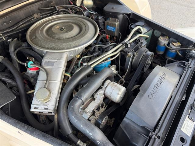 1982 Zimmer Golden Spirit (CC-2118751) for sale in Punta Gorda, Florida