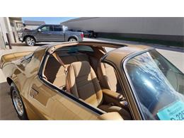 1979 Pontiac Firebird Trans Am (CC-2118802) for sale in Sioux Falls, South Dakota