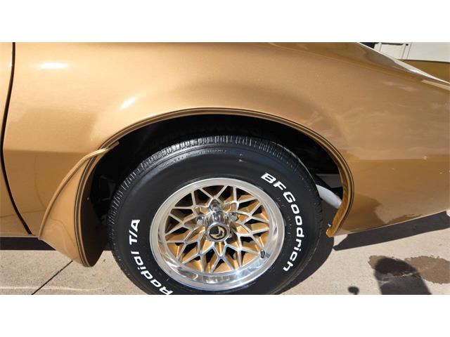 1979 Pontiac Firebird Trans Am (CC-2118802) for sale in Sioux Falls, South Dakota