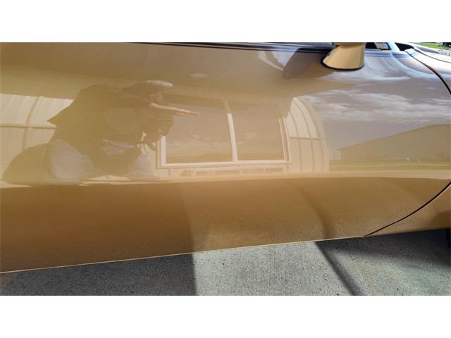 1979 Pontiac Firebird Trans Am (CC-2118802) for sale in Sioux Falls, South Dakota
